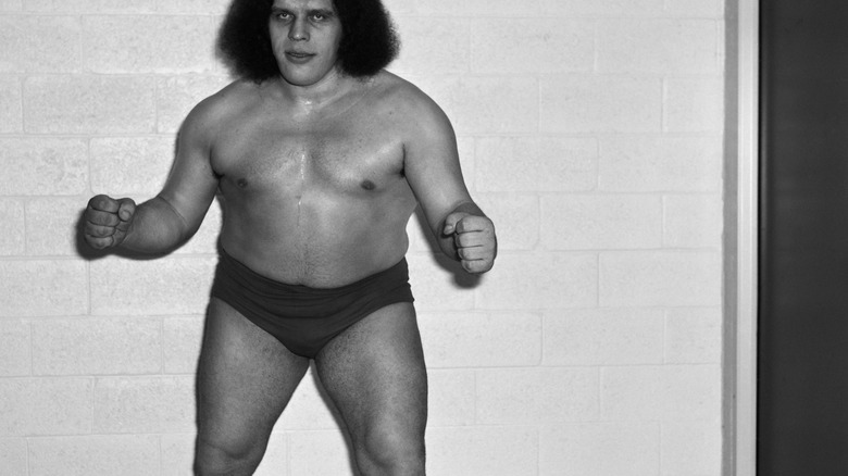 Andre the Giant