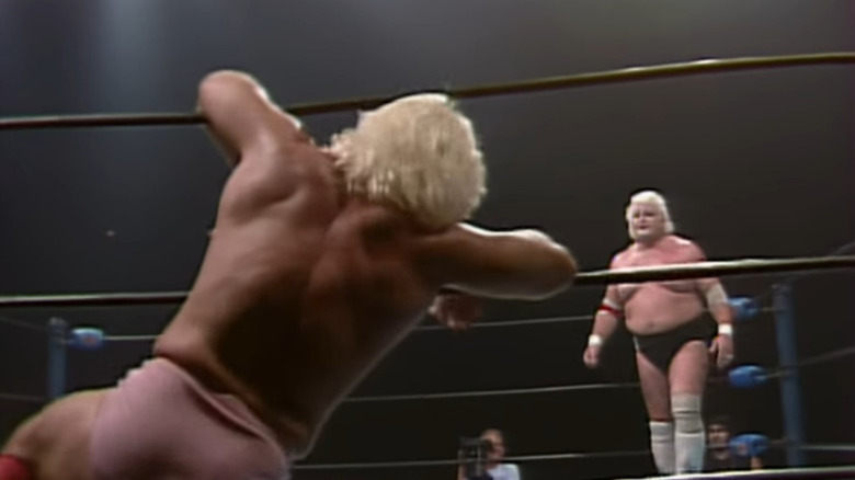 Dusty Rhodes Ric Flair cage