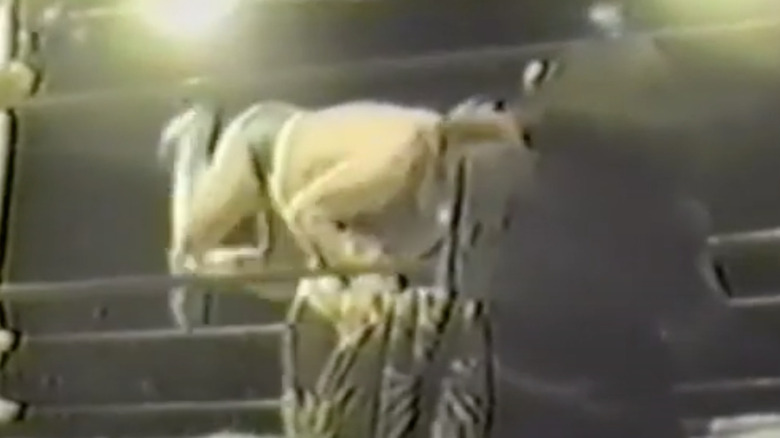 Canek bodyslams Andre