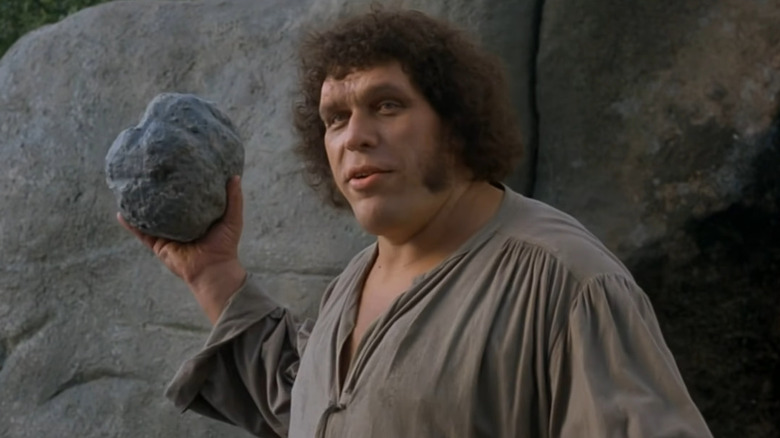 fezzik holds rock