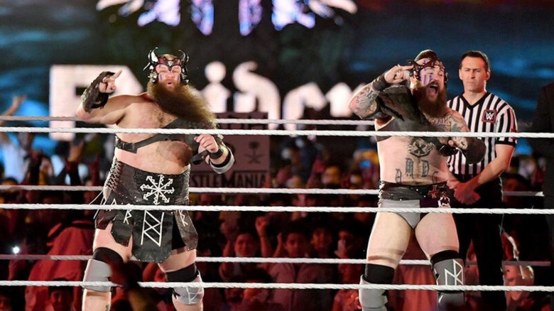 Viking Raiders