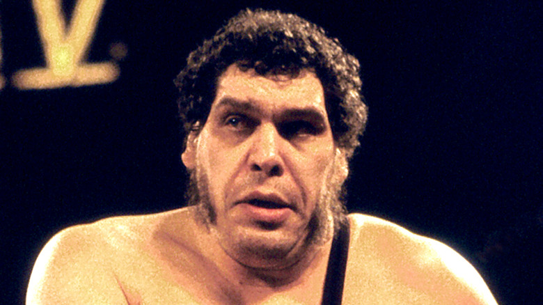 Wrestler André René Roussimoff best known as Andre The Giant in the ring at Wrestlemania V at Convention Hall in Atlantic City, New Jersey April 22 1989.