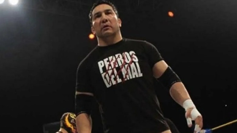 Perro Aguayo Jr. in the ring with Rey Mysterio Jr.